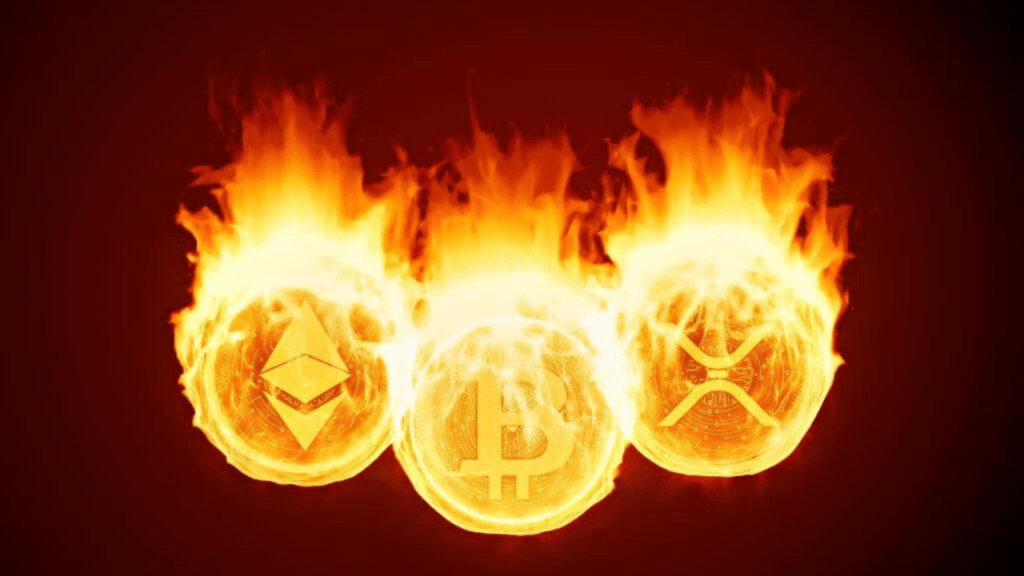 שריפת מטבעות - תמונה ראשית